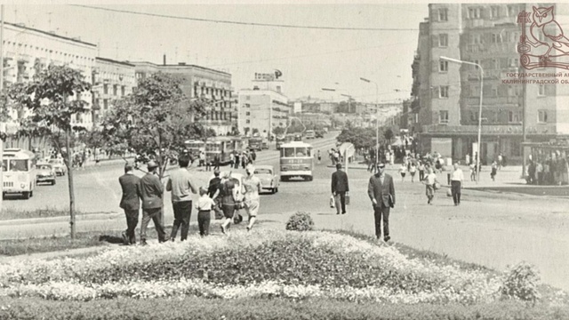 В госархиве показали, как выглядел Ленинский проспект в 1967 году