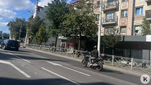 Дятлова рассказала, почему на Ленпроспректе до сих пор нет выделенных полос для автобусов 