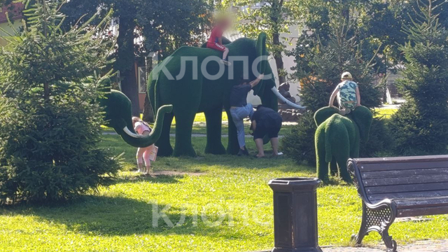 В Детском парке Советска посетители «проели плешь» слонам и лошадкам (фото)   