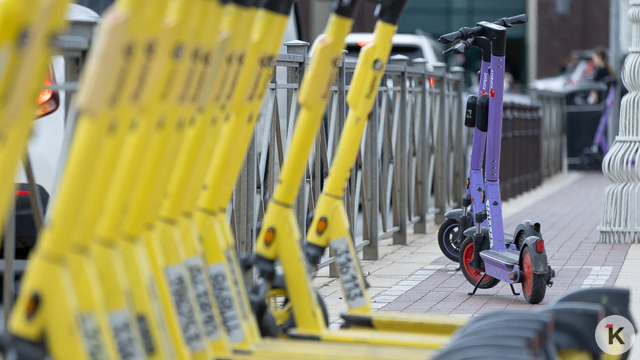 Спрос на аренду самокатов в Калининграде вырос почти в полтора раза, мэрия готова развивать велодорожки 