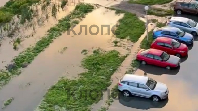 Ни пройти ни проехать: жители Калининграда и области после ливня сушат подвалы и тонут в фекалиях (фото, видео) 