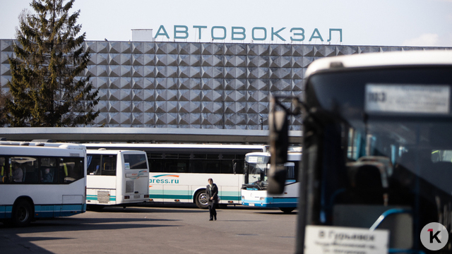 Пассажирские автобусы из Калининграда в Варшаву стали ходить ежедневно