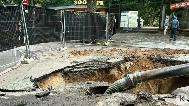 «Большой кипиш на Чайковского»: в «Водоканале» назвали причину провала у зоопарка и сроки окончания работ