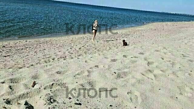 «Она была в шоке и плакала»: на пустынном пляже у Витланда бегун брызнул перцовым газом в одинокую женщину с мини-пуделем