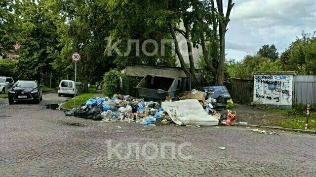 На дорогу выполз матрас: 5 мест в Калининграде, которым срочно требуется уборка (фото) 