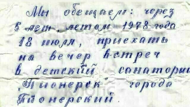 В санатории Пионерского под старой грушей нашли послание от детей, датированное 1973 годом (фото)