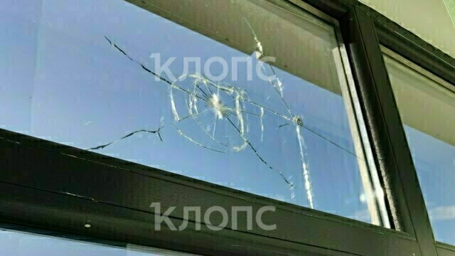 «Догадываюсь, кто это сделал»: в Калининграде бизнесмену расстреляли окна офиса, месяцем ранее сгорела его баня