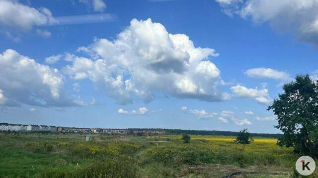 Ещё одна загогулина: как пройдёт дорога от Калининграда до Холмогоровки (схема, фото)