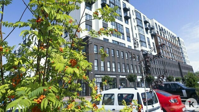 В новостройках Калининграда предусмотрят помещения под молодёжные клубы