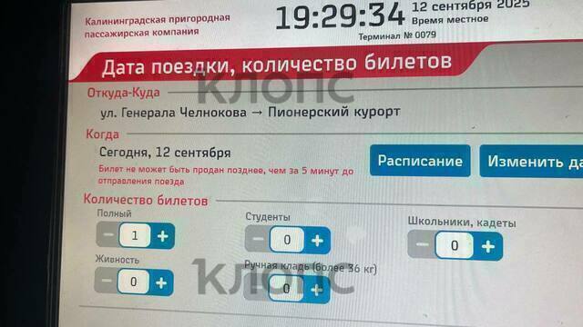 Калининградцев в ожидании автобуса искусали комары, а транспорт так и не пришёл