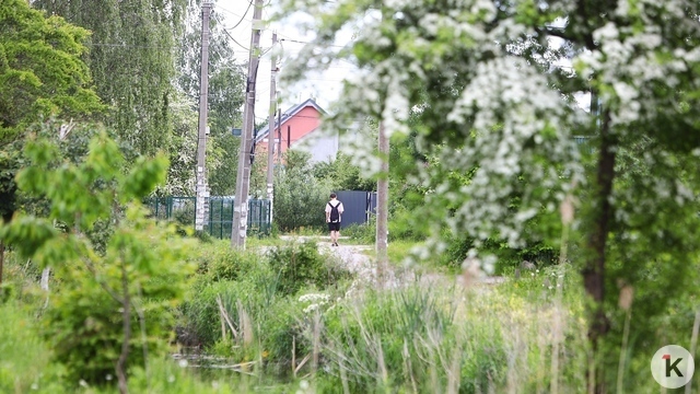 Запрет на бизнес в СНТ был всегда: глава Союза садоводов Калининграда — о нововведениях в законодательстве