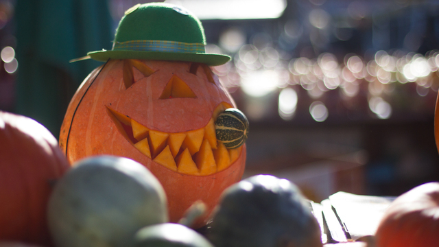 Тыквы, грибы и осенние краски: куда сходить в выходные в Калининградской области, чтобы хорошо провести время и не разориться