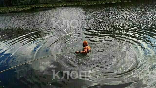 Утонул прямо на глазах прохожих: в Калининграде из рва возле Центрального рынка достали тело мужчины (видео)