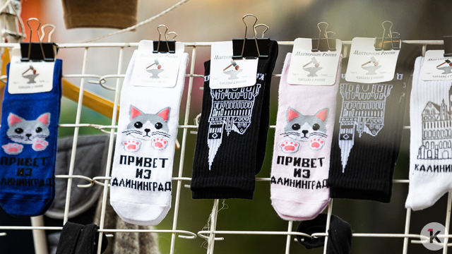 Калининградцы не заработали летом на сдаче жилья туристам из-за непогоды и сбоев в аэропортах — риелтор  