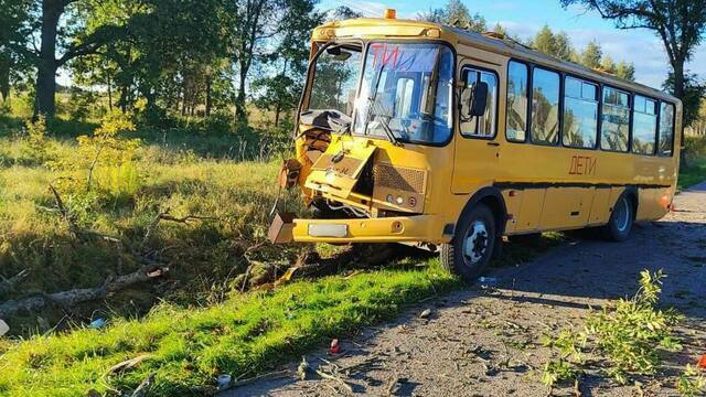 Водитель школьного автобуса рассказал, как попал в ДТП под Неманом и кто из детей пострадал   