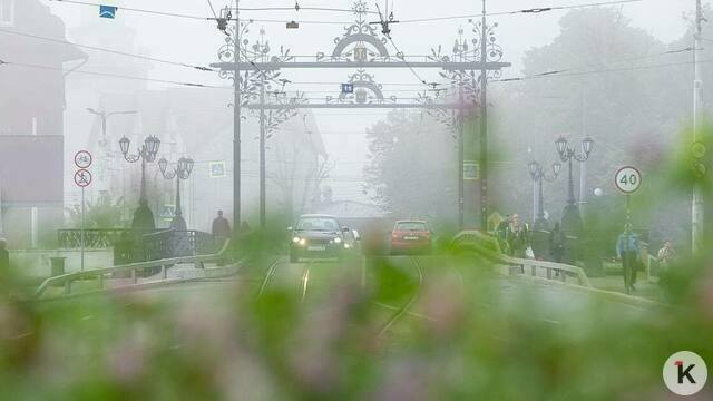 Погода в Калининграде и области в среду