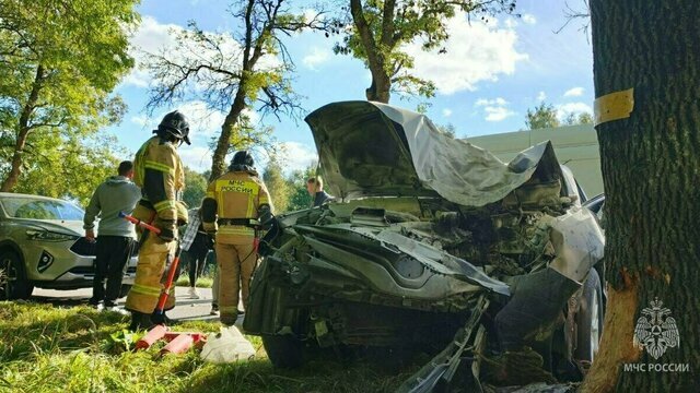 В салоне разбившегося под Балтийском авто пахло алкоголем, у водителя тяжёлая травма головы
