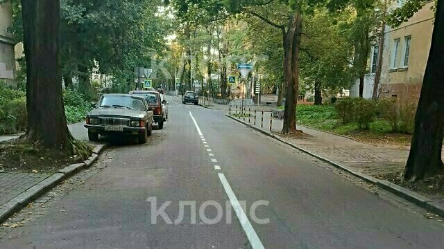 «За что так с нами?»: в Калининграде разметка навела шороху на тихой улице (фото)