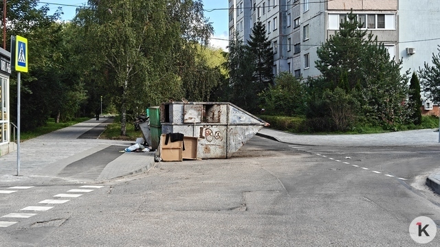 Бунт кесок. 4 места в Калининграде, где мусорки встали поперёк дороги людям и машинам