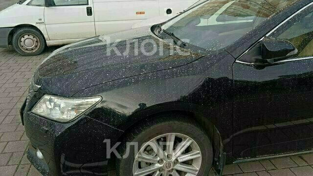 На Осенней вместо жёлтых листьев летают пепел и обгоревшая бумага из соседней котельной (фото, видео)