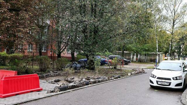 Клумба vs парковка. В центре Калининграда жители дома разобрали плитку и высадили в песок кусты (фото)  
