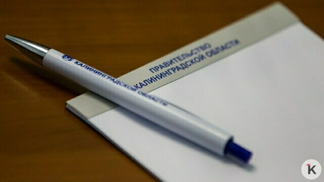 Власти Калининградской области хотят прибавить денег губернатору, депутатам и сенаторам 