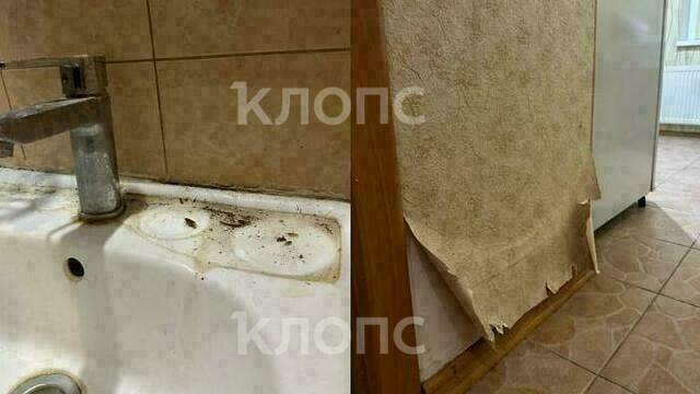 Семья с ушастым питомцем превратила квартиру калининградки в рай для тараканов, оставив грязь и разгром (фото)  