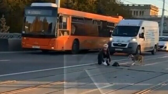 В Калининграде на эстакадном мосту мотоциклист держал поток машин, пока женщина спасала пса (видео)