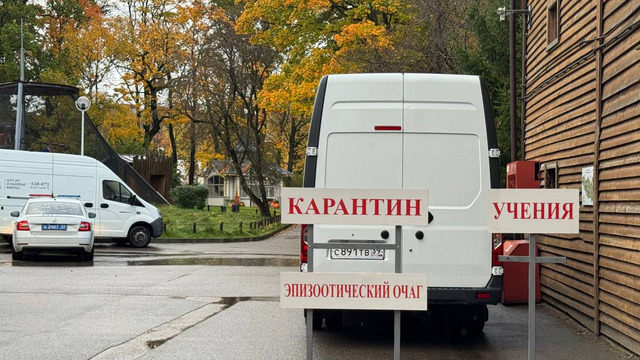 В Калининградском зоопарке впервые прошли учения по ликвидации очага бешенства 