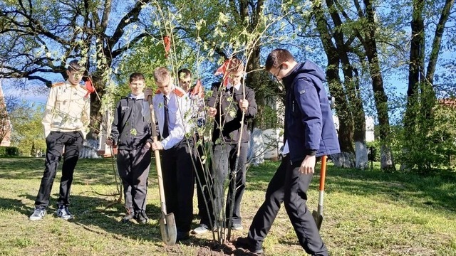 Калининградцам помогут вывезти крупногабаритные отходы