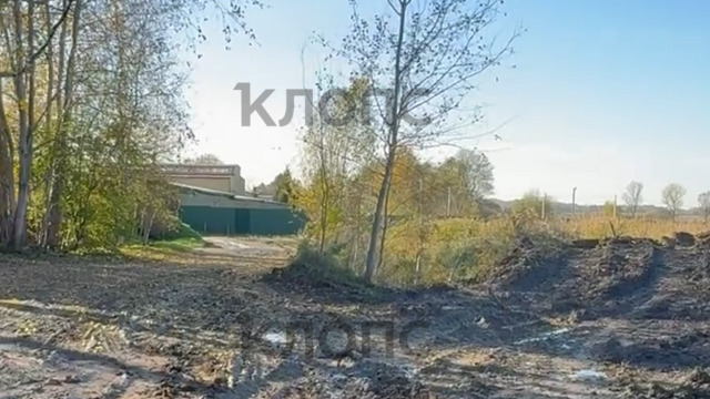 Песковозы убили дорогу к старому кладбищу в Цветково. Люди не могут навестить родные могилы (видео)  