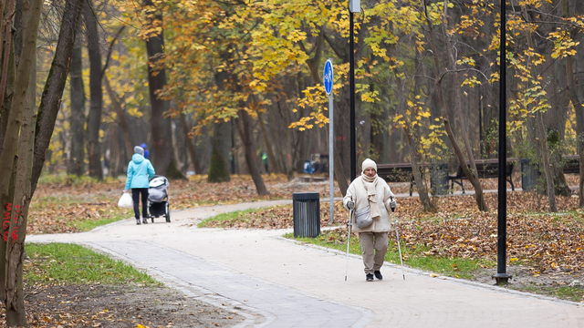 Белки, таинственные камни и ещё 8 причин прогуляться осенью в парке Макса Ашманна 