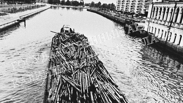 Преголя-труженица. В госархиве показали, как раньше по реке перевозили грузы