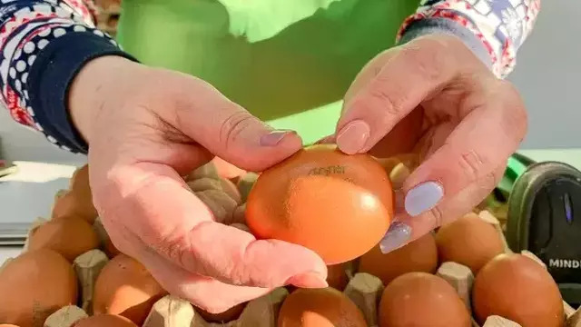 ТОП-5 продуктов, которые больше всего подорожали в Калининграде (инфографика)