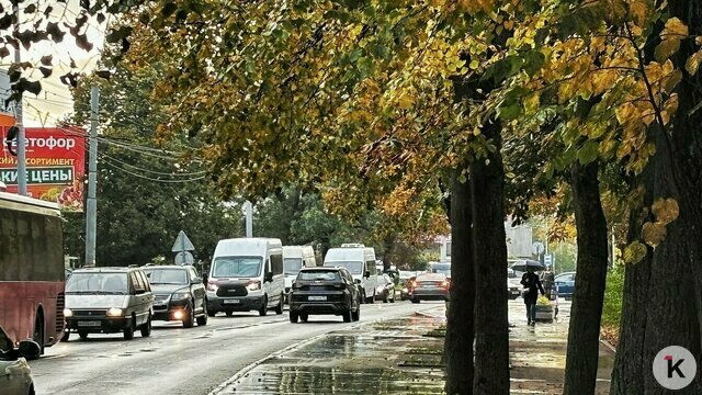 Дятлова заявила, что калининградцам придётся смириться с новыми лежачими полицейскими на Дзержинского