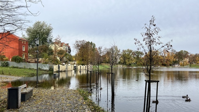 Скамейки ушли под воду: в Черняховске затопило городской парк