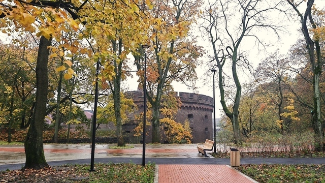 Турист из Москвы потратил 9 дней на Калининград, удивился числу музеев и назвал три полюбившихся блюда