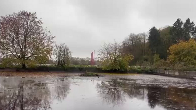Под Зеленоградском фермерские земли затопило смердящей жижей (фото, видео)