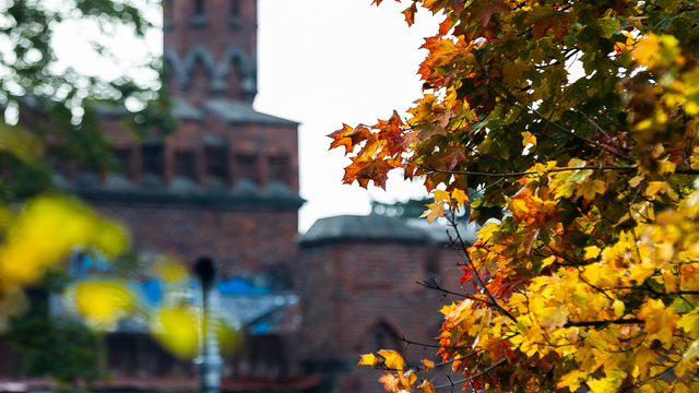 Синоптики призвали калининградцев готовиться к штормовым будням и комфортным выходным