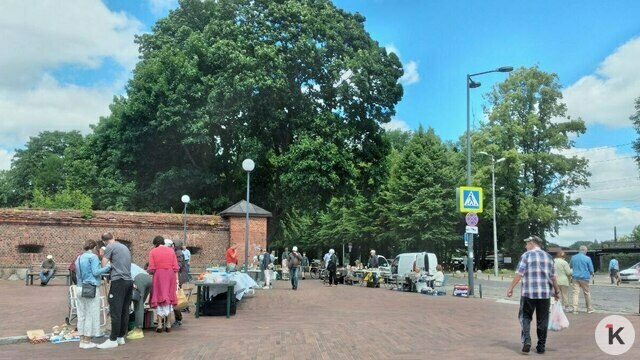 Дятлова рассказала, может ли блошиный рынок вернуться за башню Врангеля после открытия Каштанового парка