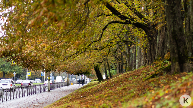 Власти назвали срок, когда средняя зарплата в Калининградской области достигнет 100 тысяч