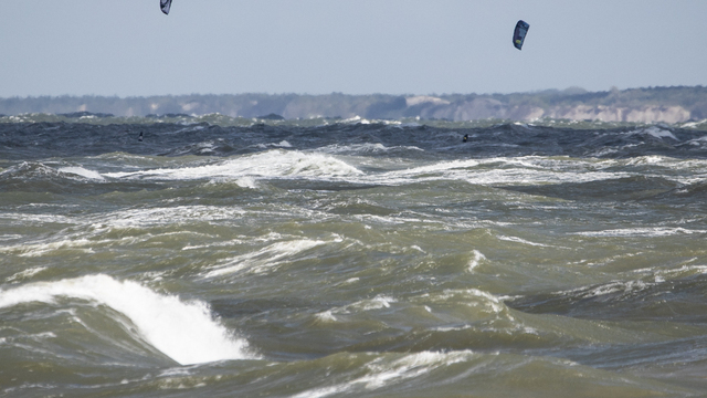 Проржавевшие корпуса бомб на дне Балтийского моря стали убежищем для морских обитателей — учёные
