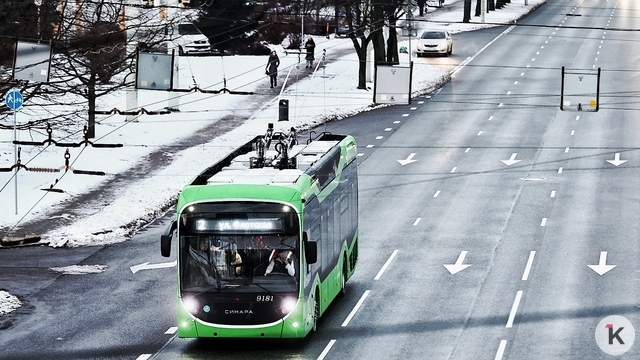 Калининградец нашёл на Московском проспекте автомобильную полосу, которая упирается в газон (видео)