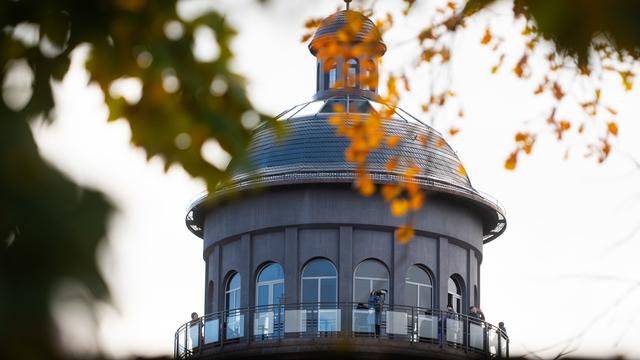 Зеленоградск. Повседневность в кадре