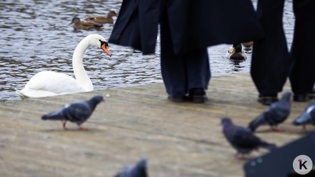 Погода в Калининграде и области в субботу, 1 ноября