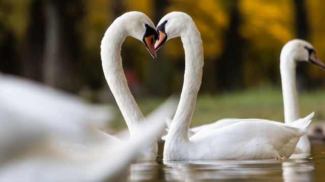 Не занимайся ремонтом и отбрось негативные мысли: приметы на 4 ноября