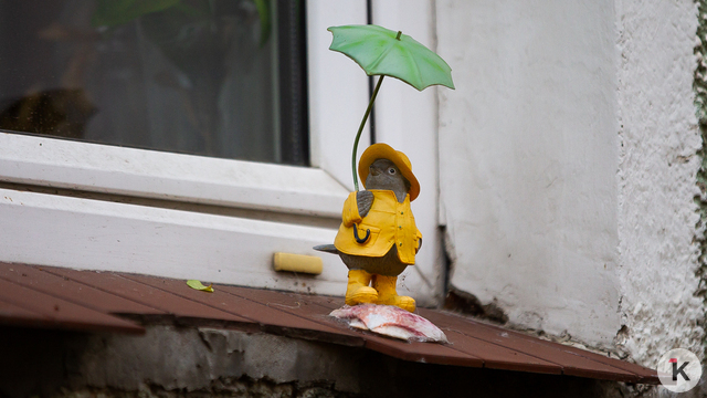 Погода в Калининграде и области в воскресенье, 2 ноября