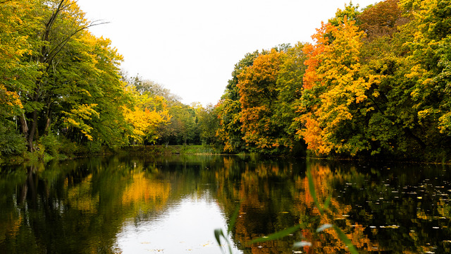 Творческие союзы и стихийные бедствия: Тамара Глоба рассказала, каким будет ноябрь для всех знаков зодиака 
