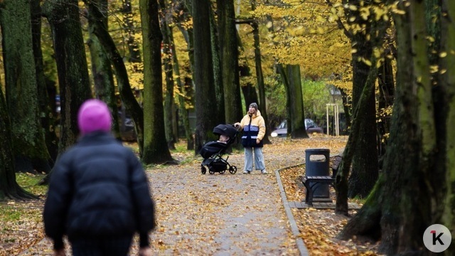 Погода в Калининграде и области в понедельник