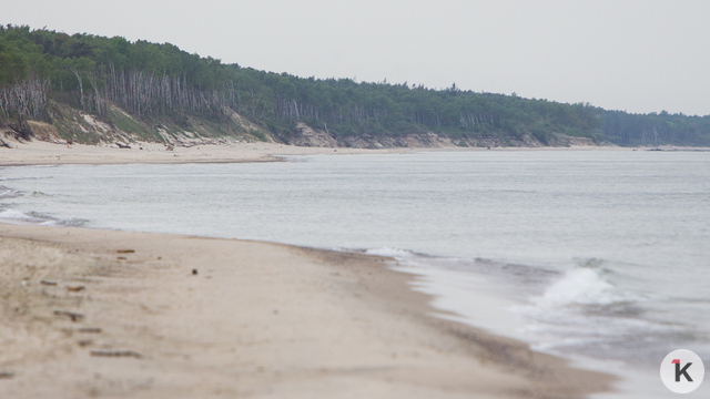 Куршская коса рискует превратиться в калининградскую Рублёвку для избранных — калининградский биолог  